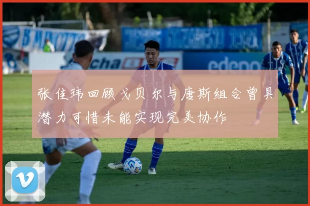 张佳玮回顾戈贝尔与唐斯组合曾具潜力可惜未能实现完美协作