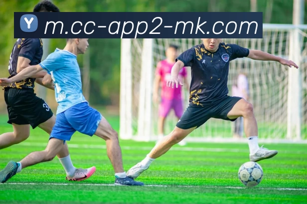 MK体育全站App